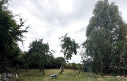 Labeuvrière, Pas-de-Calais 62122