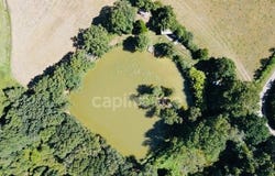 TEILLAY, Bretagne 35620