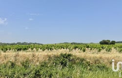 BEDARRIDES, Provence-Alpes-Côte d'Azur 84370