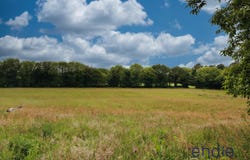 BUBRY, Brittany 56310