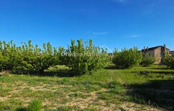 Cavillargues, Languedoc-Roussillon 30330