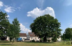 Cuisery, Bourgogne 71290