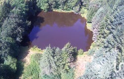 Nieul, Nouvelle-Aquitaine 87510