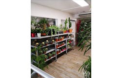 TOURS, Centre-Val de Loire 37000