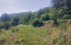 Saint-Paul-la-Coste, Gard 30480