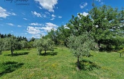 TRETS, Provence-Alpes-Côte d'Azur 13530