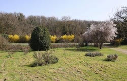 Rouillac, Poitou-Charentes 16170