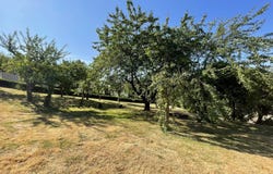 Pouzauges, Vendée 85700