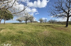 Pineuilh, Aquitaine 33220
