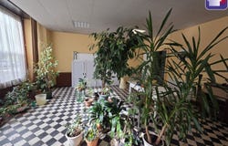 Ax-les-Thermes, Midi-Pyrénées 09110