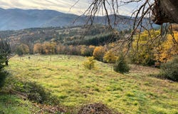 SAINT JULIEN, Occitanie 34390