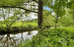 Peyrat-de-Bellac, Nouvelle-Aquitaine 87300