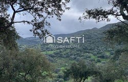 Sollacaro, Corse 20140
