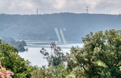 Montauroux, Provence-Alpes-Côte-d'Azur 83440