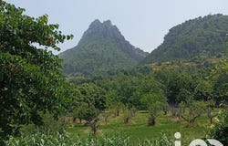 Buis-les-Baronnies, Auvergne-Rhône-Alpes 26170
