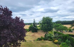 Saint-Claude-de-Diray, Loir-et-Cher 41350