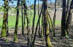 Trelissac, Aquitaine 24750