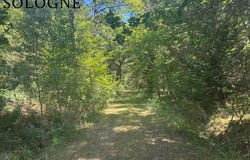 Ligny-le-Ribault, Loiret 45240