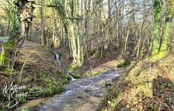 THURINS, Rhône-Alpes 69510