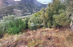 Castellar, Provence-Alpes-Côte-d'Azur 06500
