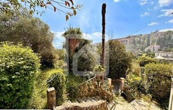 Grasse, Provence-Alpes-Côte d'Azur 06130