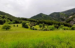 Senez, Provence-Alpes-Côte d'Azur 04330