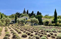 Maussane-les-Alpilles, Provence-Alpes-Côte d'Azur 13520