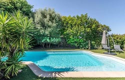 Fréjus, Provence-Alpes-Côte-d'Azur 83600
