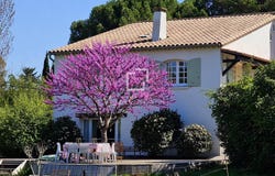 Valflaunès, Languedoc-Roussillon 34270