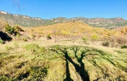 Saint-Privat, Hérault 34700