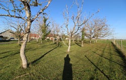 MONTEAUX, Centre-Val de Loire 41150