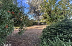 Pineuilh, Nouvelle-Aquitaine 33220