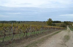 Pujols, Gironde 33350