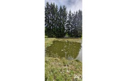Épinal, Grand Est 88000