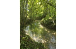 Puylaroque, Tarn-et-Garonne 82240