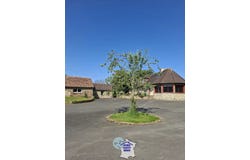Saint-Fraimbault, Orne 61350