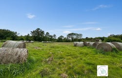Blaye, Aquitaine 33390