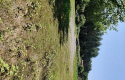 Pontenx-Les-Forges, Aquitaine 40200