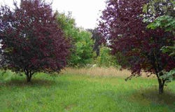 Épernon, Eure-et-Loir 28230