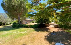 Oletta, Corsica 20232