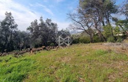 Opio, Provence-Alpes-Côte-d'Azur 06650