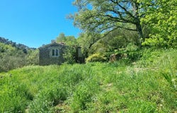 Méounes-lès-Montrieux, Provence-Alpes-Côte d'Azur 83136