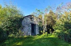 Caylus, Midi-Pyrénées 82160