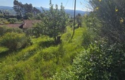 SOLLIES VILLE, Provence-Alpes-Côte d'Azur 83210