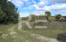Aubais, Languedoc-Roussillon 30250
