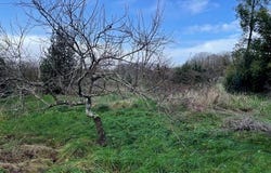Brannay, Bourgogne 89150