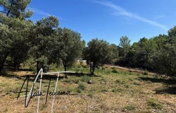 Taradeau, Provence-Alpes-Côte d'Azur 83460