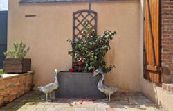 Maintenon, Eure-et-Loir 28130