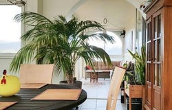 Los Masos, Languedoc-Roussillon 66500