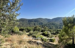 BAGNOLS EN FORET, Provence-Alpes-Côte d'Azur 83600